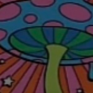 Meet your Posher, Perriona